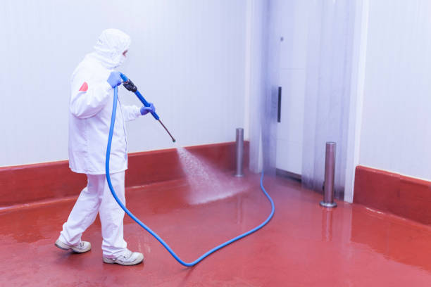 Best Spring Cleaning  in Pomona, NJ